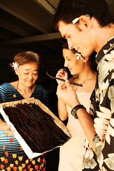 Discovering the Tahitian vanilla