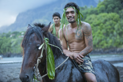 Marquesas - Hiva Oa - Horse