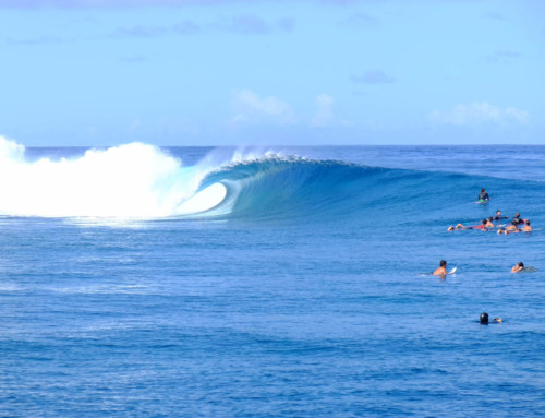 Surfing in Polynesia