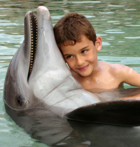 Moorea dolphin center