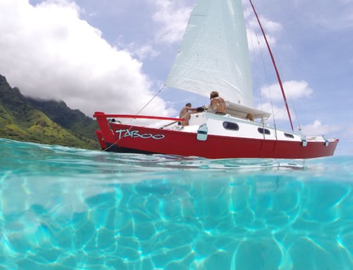 Three excursions to discover on Moorea