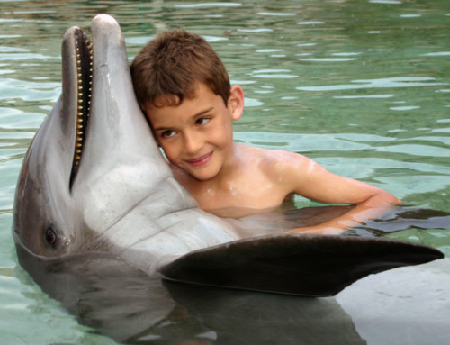 Moorea Dolphin Centre